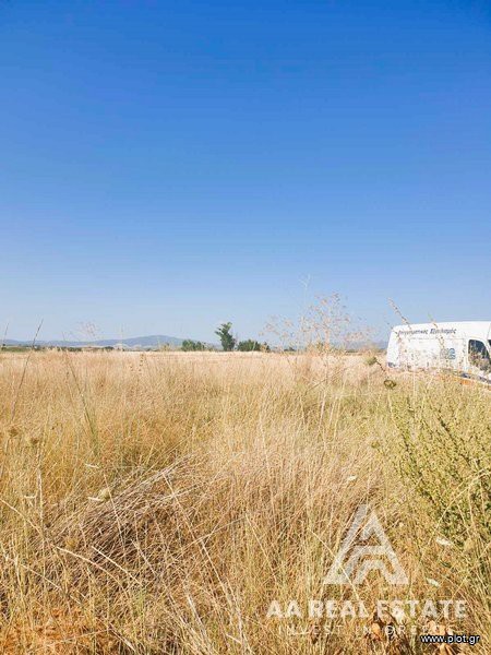 Οικόπεδο 440 τ.μ. πρός πώληση, Χαλκιδική, Μουδανιά
