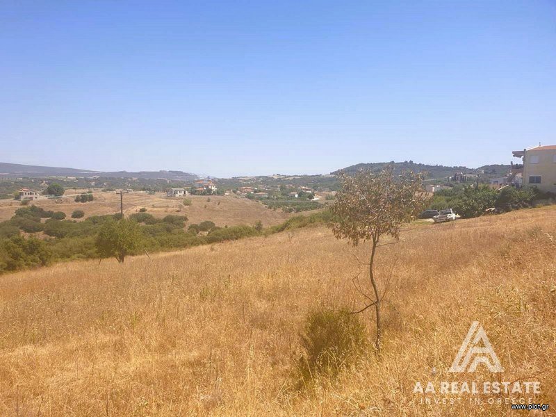 Αγροτεμάχια 7.200 τ.μ. πρός πώληση, Θεσσαλονίκη - Περιφ/Κοί Δήμοι, Θέρμη