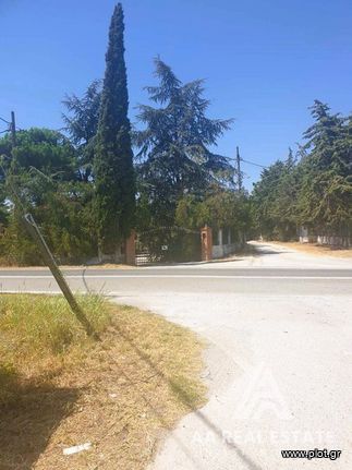 Αγροτεμάχια 11.550 τ.μ. για πώληση, Θεσσαλονίκη - Περιφ/Κοί Δήμοι, Θέρμη