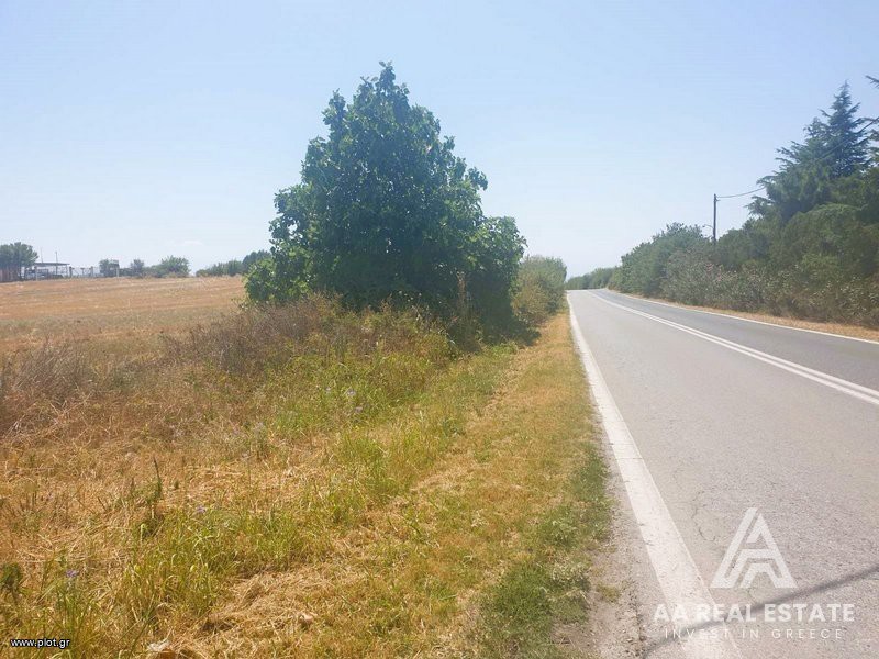Αγροτεμάχια 11.550 τ.μ. πρός πώληση, Θεσσαλονίκη - Περιφ/Κοί Δήμοι, Θέρμη