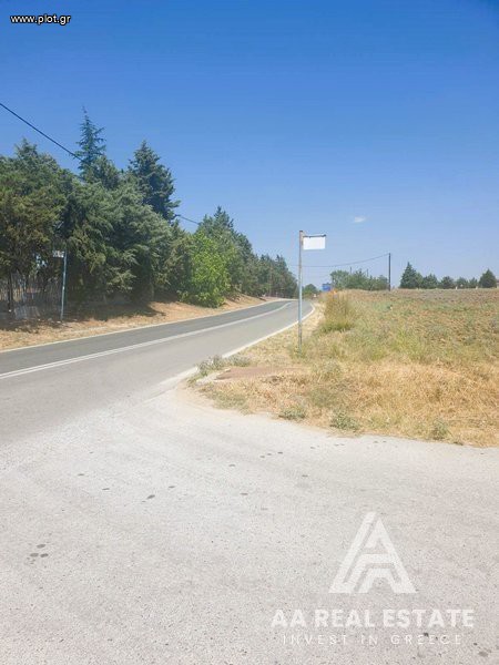 Αγροτεμάχια 11.550 τ.μ. πρός πώληση, Θεσσαλονίκη - Περιφ/Κοί Δήμοι, Θέρμη