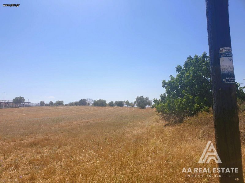 Αγροτεμάχια 11.550 τ.μ. πρός πώληση, Θεσσαλονίκη - Περιφ/Κοί Δήμοι, Θέρμη