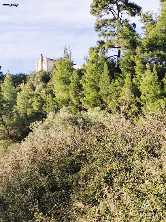 Αγροτεμάχια 4.021 τ.μ. πρός πώληση, Χαλκιδική, Παλλήνη