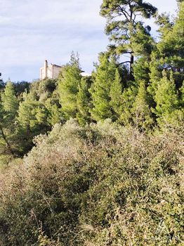 Αγροτεμάχια 4.021τ.μ. για πώληση-Παλλήνη » Αγία παρασκευή