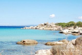 Αγροτεμάχια 2.000 τ.μ. για πώληση