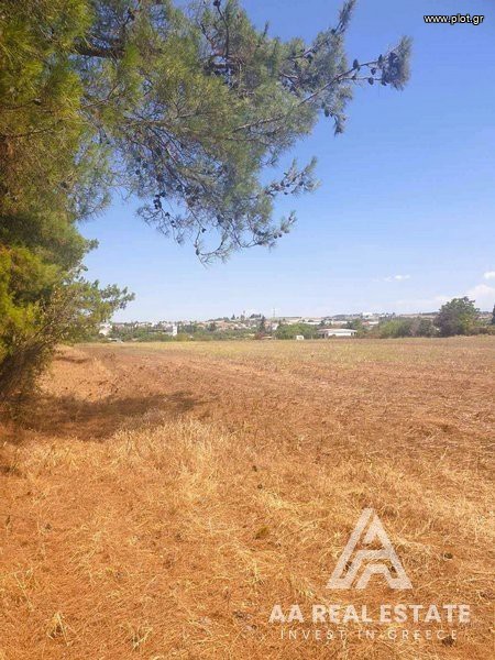 Αγροτεμάχια 15.000 τ.μ. πρός πώληση, Θεσσαλονίκη - Περιφ/Κοί Δήμοι, Μηχανιώνα