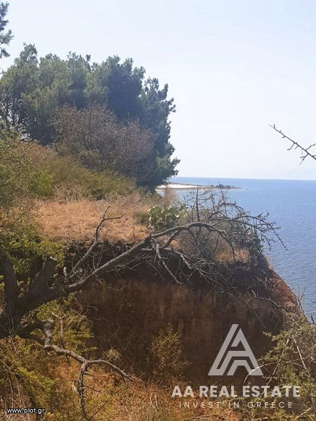Αγροτεμάχια 15.000 τ.μ. πρός πώληση, Θεσσαλονίκη - Περιφ/Κοί Δήμοι, Μηχανιώνα