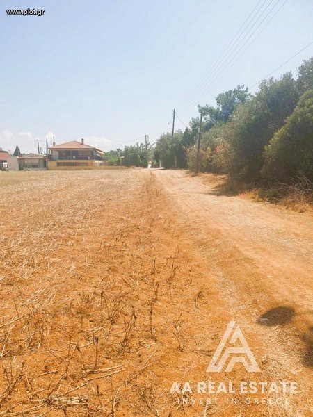 Αγροτεμάχια 15.000 τ.μ. πρός πώληση, Θεσσαλονίκη - Περιφ/Κοί Δήμοι, Μηχανιώνα
