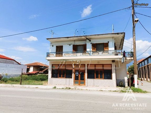 Επιχειρηματικό κτίριο 204 τ.μ. για πώληση, Πέλλα, Αριδαία
