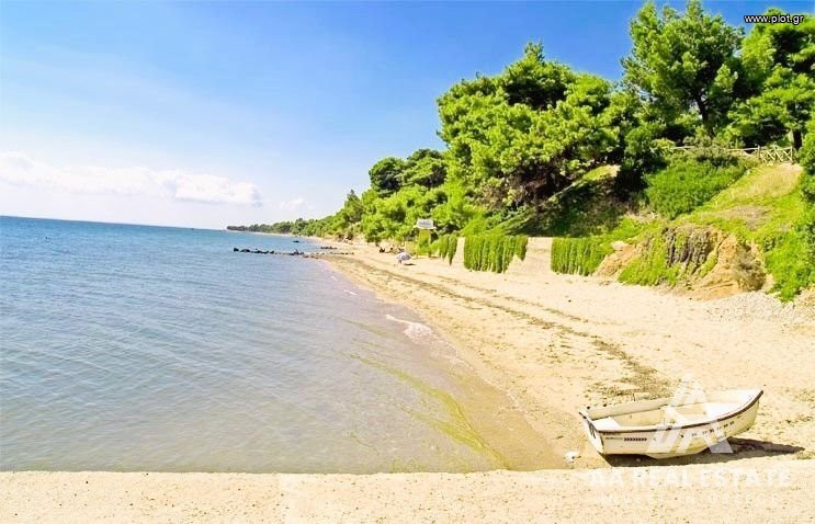 Αγροτεμάχια 10.000 τ.μ. πρός πώληση, Χαλκιδική, Ορμύλια