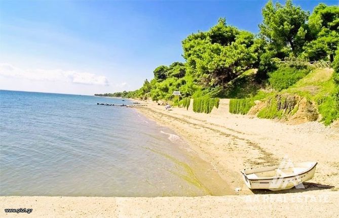 Αγροτεμάχια 10.000 τ.μ. για πώληση, Χαλκιδική, Ορμύλια