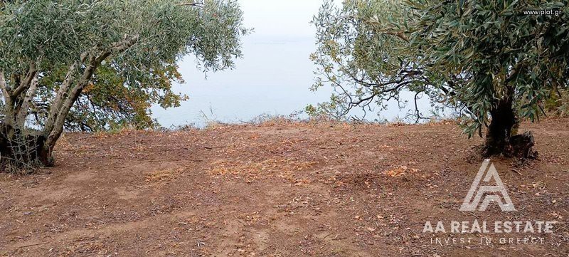 Οικόπεδο 1.500 τ.μ. πρός πώληση, Ν. Πιερίας, Μεθώνη