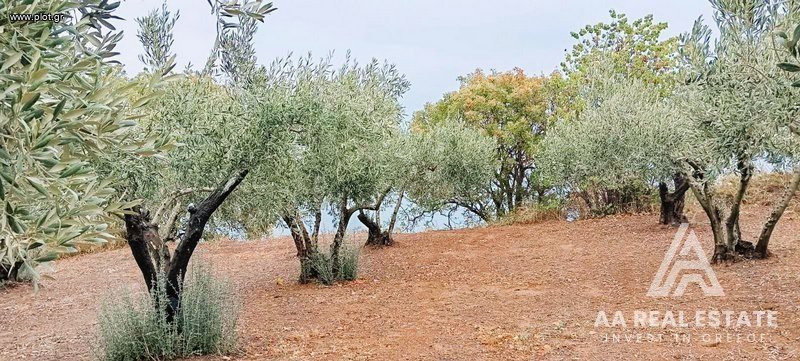 Οικόπεδο 1.500 τ.μ. πρός πώληση, Ν. Πιερίας, Μεθώνη