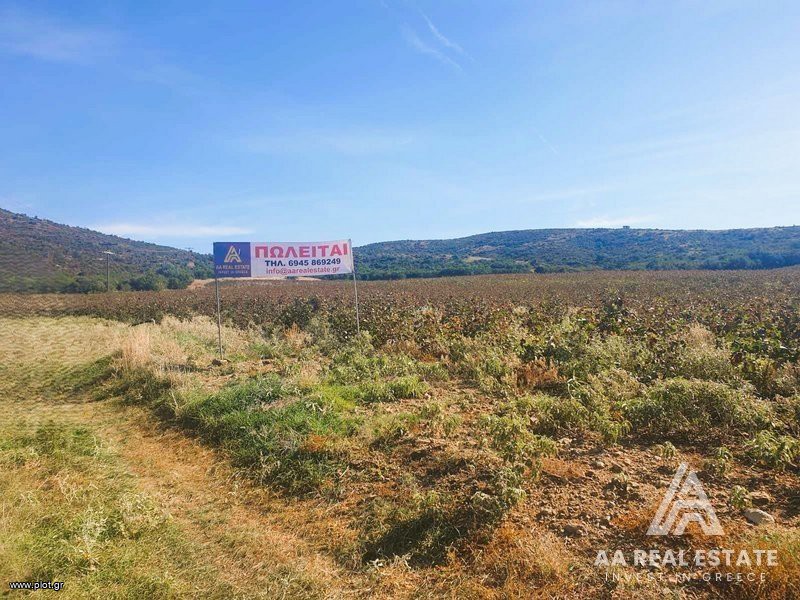 Αγροτεμάχια 21.750 τ.μ. πρός πώληση, Χαλκιδική, Ανθεμούντας