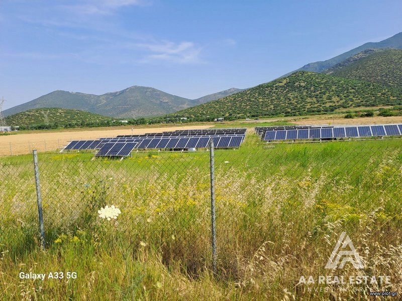 Αγροτεμάχια 21.750 τ.μ. πρός πώληση, Χαλκιδική, Ανθεμούντας