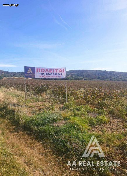 Αγροτεμάχια 21.750 τ.μ. πρός πώληση, Χαλκιδική, Ανθεμούντας