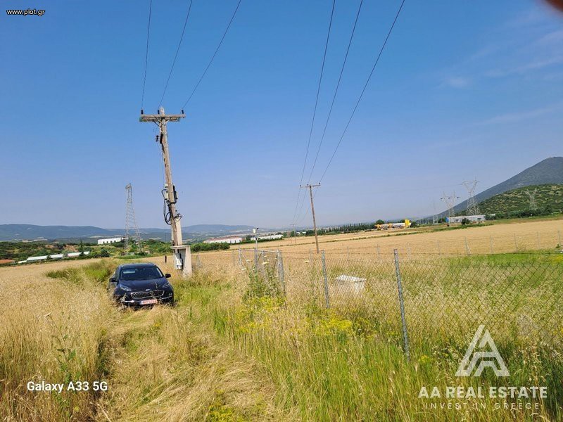 Αγροτεμάχια 21.750 τ.μ. πρός πώληση, Χαλκιδική, Ανθεμούντας