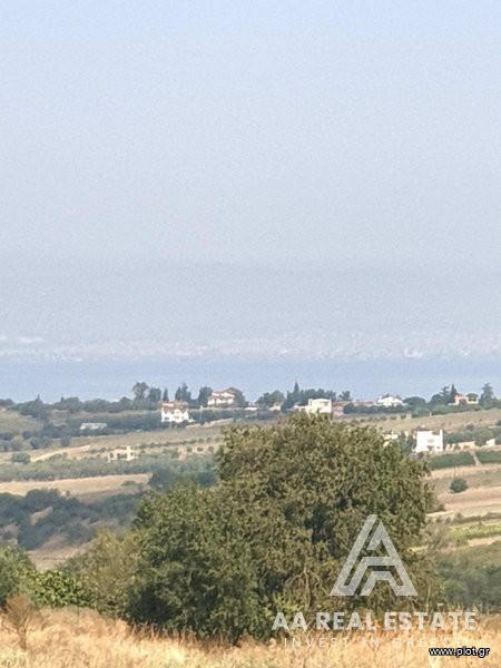 Αγροτεμάχια 7.280 τ.μ. πρός πώληση, Θεσσαλονίκη - Περιφ/Κοί Δήμοι, Θερμαϊκός