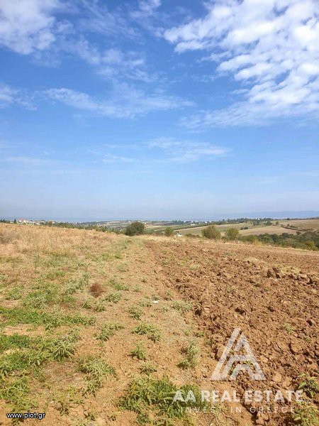 Αγροτεμάχια 7.280 τ.μ. πρός πώληση, Θεσσαλονίκη - Περιφ/Κοί Δήμοι, Θερμαϊκός