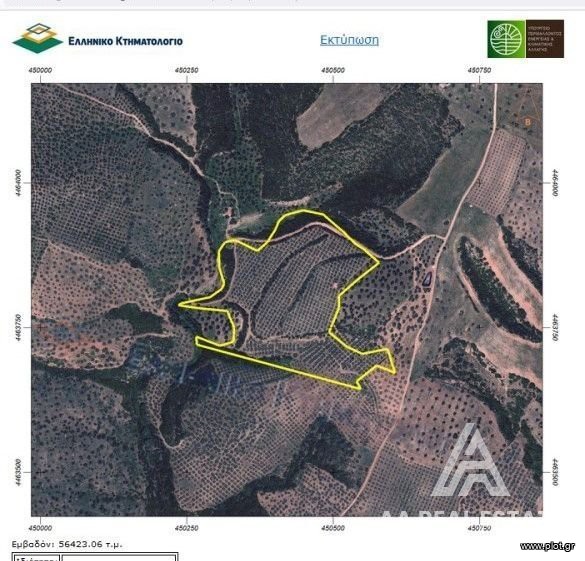 Αγροτεμάχια 56.668 τ.μ. πρός πώληση, Χαλκιδική, Πολύγυρος