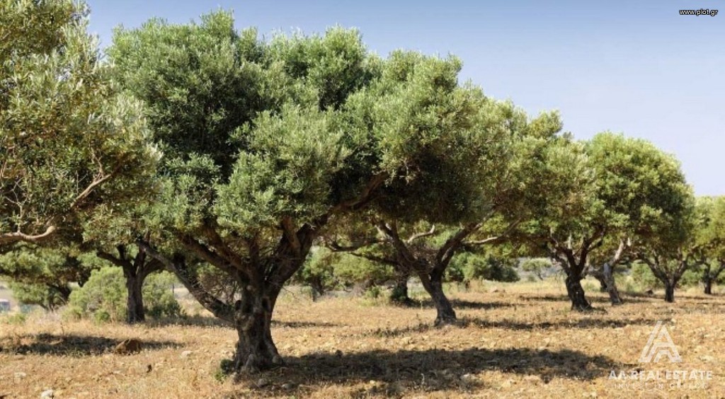 Αγροτεμάχια 56.668 τ.μ. πρός πώληση, Χαλκιδική, Πολύγυρος