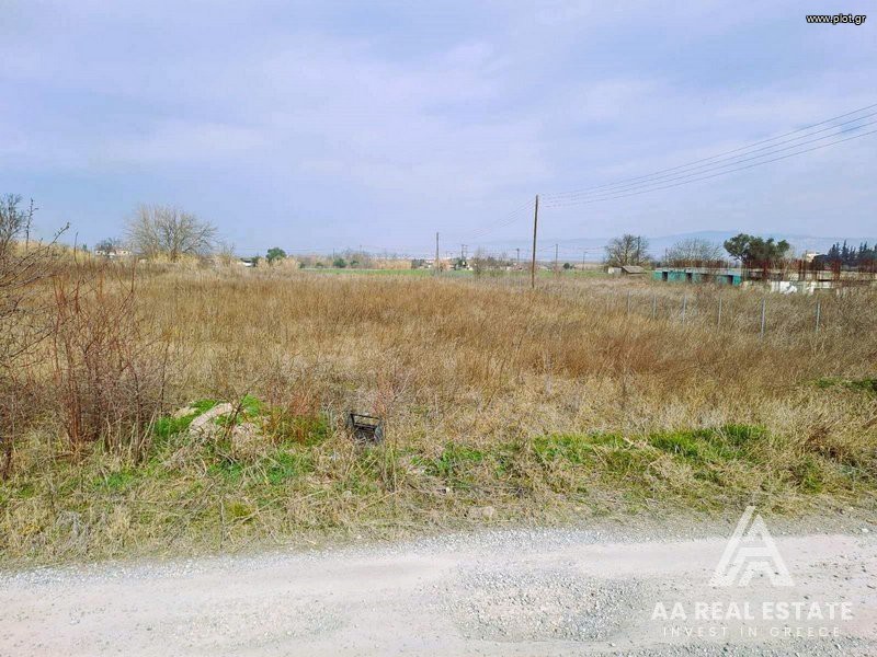 Αγροτεμάχια 3.900 τ.μ. πρός πώληση, Θεσσαλονίκη - Περιφ/Κοί Δήμοι, Θέρμη