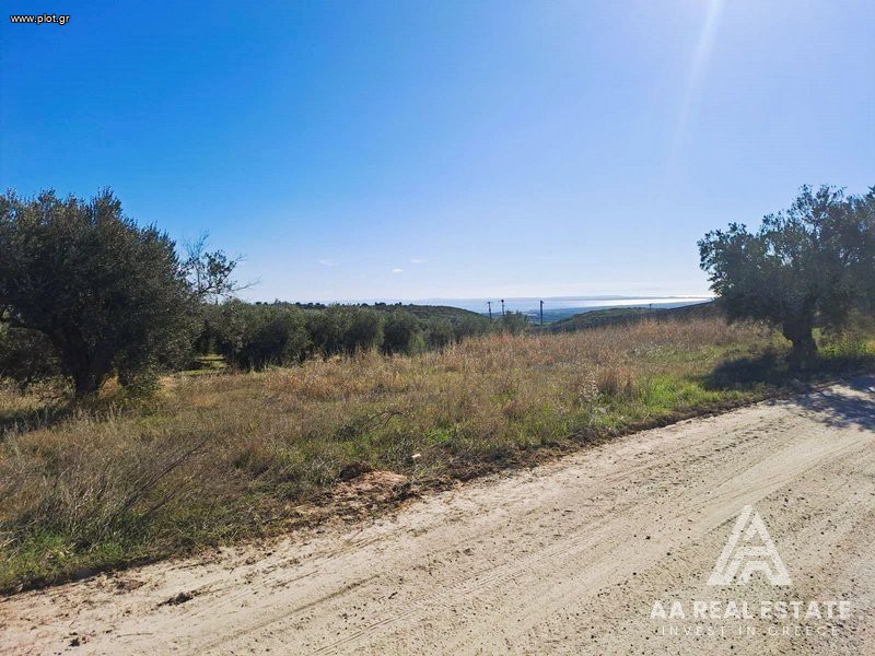 Αγροτεμάχια 13.556 τ.μ. πρός πώληση, Χαλκιδική, Πολύγυρος