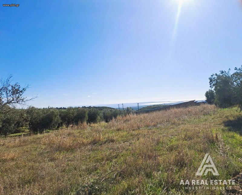 Αγροτεμάχια 13.556 τ.μ. πρός πώληση, Χαλκιδική, Πολύγυρος
