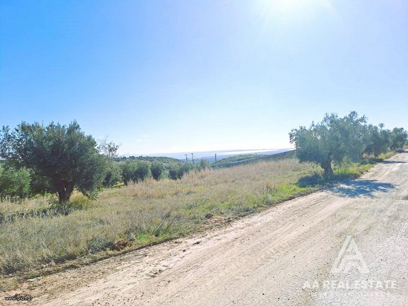 Αγροτεμάχια 13.556 τ.μ. πρός πώληση, Χαλκιδική, Πολύγυρος