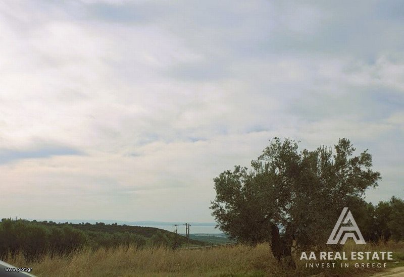 Αγροτεμάχια 13.556 τ.μ. πρός πώληση, Χαλκιδική, Πολύγυρος