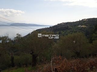 Οικόπεδο 3.049 τ.μ. για πώληση
