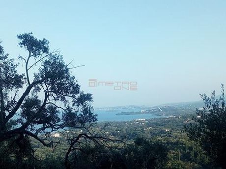 Parcel 10.000sqm for sale-Corfu » Faiakes
