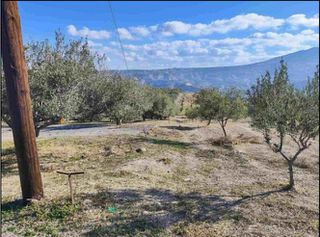 Αγροτεμάχια 5.454 τ.μ. για πώληση
