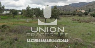 Land plot 2.000 sqm for rent