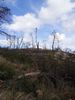 Land plot 2.190sqm for sale-Afidnes