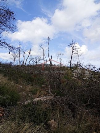 Οικόπεδο 2.190 τ.μ. για πώληση, Αττική - Υπόλοιπο, Αφίδνες