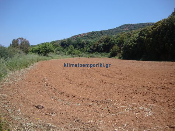 Αγροτεμάχια 19.230 τ.μ. για πώληση, Ν. Χανίων, Πλατανιάς