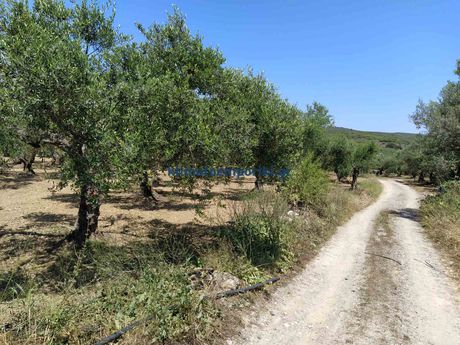 Parcel 6.426sqm for sale-Kolimvari