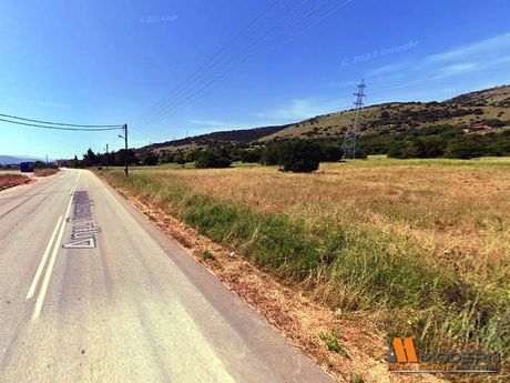 Land plot 8.000sqm for sale-Ioannina » Stavraki