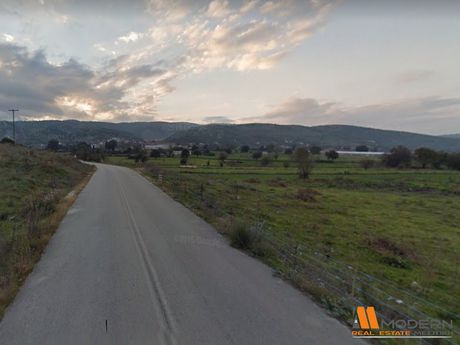 Parcel 11.300sqm for sale-Mpizanio » Ampeleia