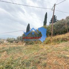 Οικόπεδο 595,37 τ.μ. για πώληση