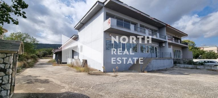 Industrial space 1.200 sqm for sale, Thessaloniki - Suburbs, Migdonia