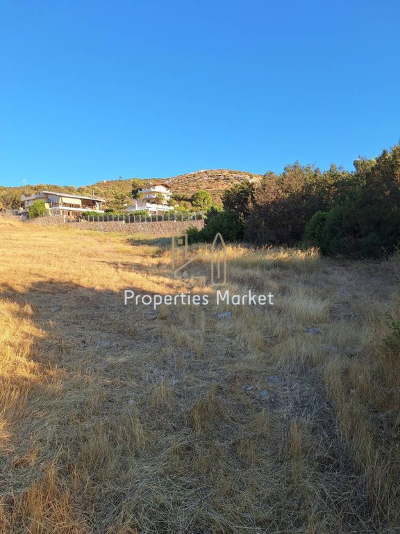 Αγροτεμάχια 7.200 τ.μ. πρός πώληση, Αττική - Υπόλοιπο, Παλαιά Φώκαια