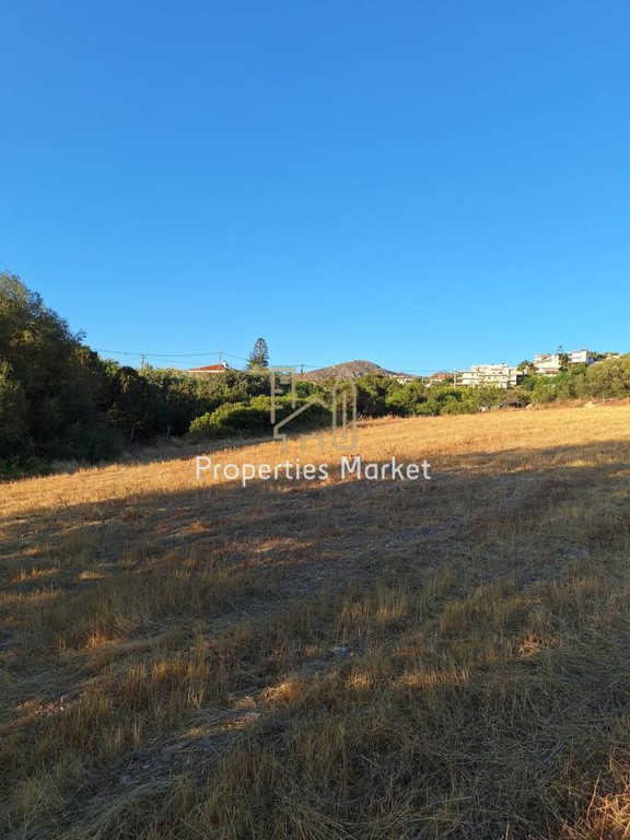 Αγροτεμάχια 7.200 τ.μ. πρός πώληση, Αττική - Υπόλοιπο, Παλαιά Φώκαια