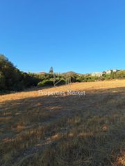 Αγροτεμάχια 7.200 τ.μ. για πώληση