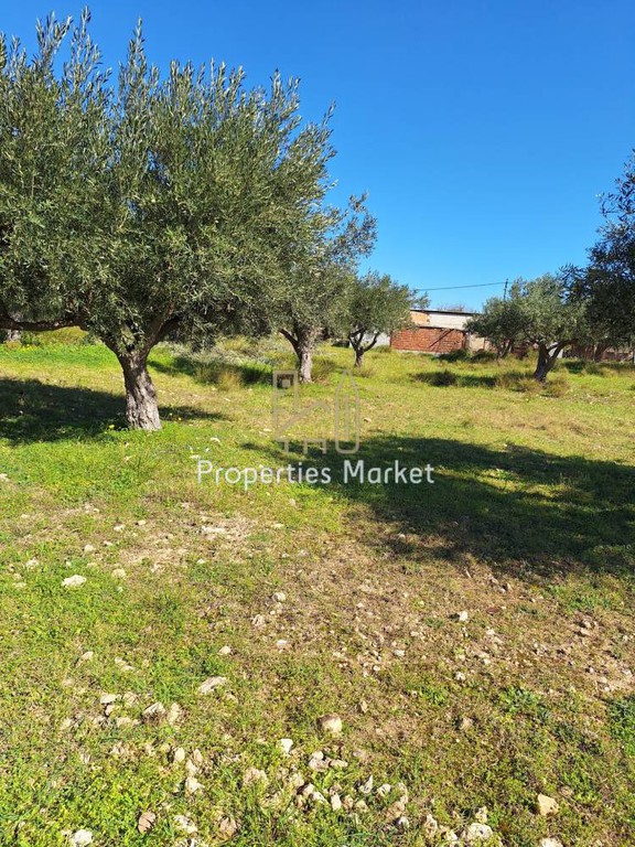 Αγροτεμάχια 2.940 τ.μ. πρός πώληση, Αττική - Υπόλοιπο, Ανάβυσσος