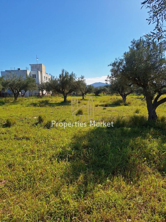 Αγροτεμάχια 2.940 τ.μ. πρός πώληση, Αττική - Υπόλοιπο, Ανάβυσσος