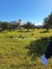 Parcel 2.940sqm for sale-Anavissos » Anavyssos Center