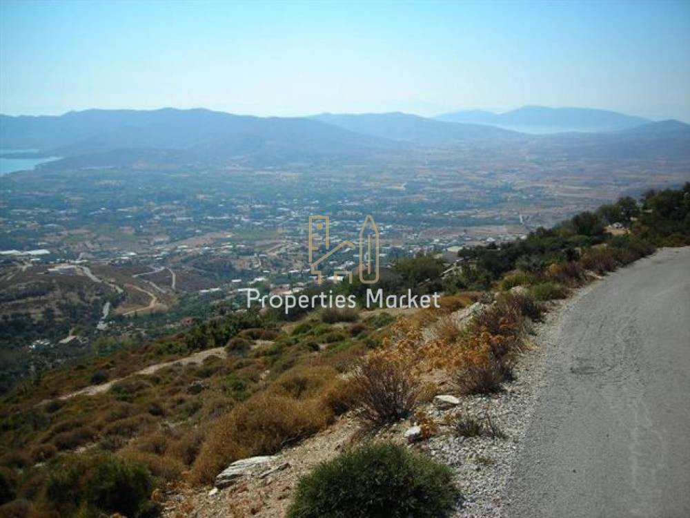Οικόπεδο 16.157 τ.μ. πρός πώληση, Εύβοια, Κάρυστος