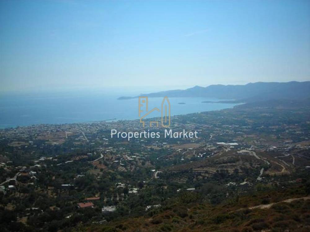 Οικόπεδο 16.157 τ.μ. πρός πώληση, Εύβοια, Κάρυστος